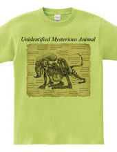 Unidentified Mysterious Animal