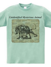 Unidentified Mysterious Animal