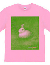 Smoking Rabbit-Y.GREEN