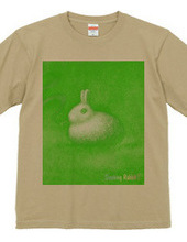 Smoking Rabbit-Y.GREEN