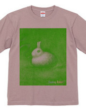 Smoking Rabbit-Y.GREEN