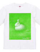 Smoking Rabbit-Y.GREEN