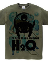 H2O_SWIMMER