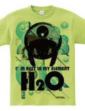 H2O_SWIMMER