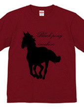 black pony