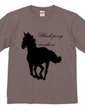 black pony