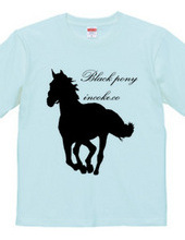 black pony