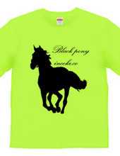 black pony