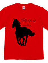 black pony