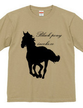 black pony