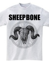 SHEEP BONE 2