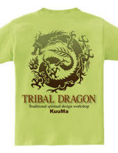 trival dragon 2