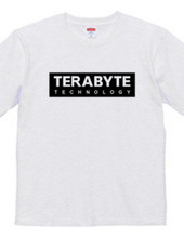 TERABYTE Technology