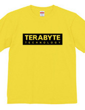 TERABYTE Technology