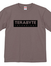 TERABYTE Technology