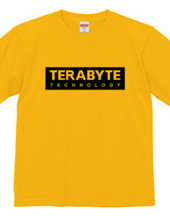 TERABYTE Technology