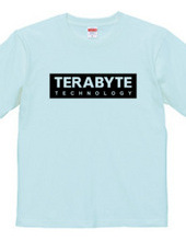 TERABYTE Technology