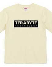 TERABYTE Technology