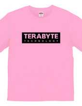 TERABYTE Technology