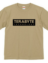 TERABYTE Technology