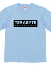 TERABYTE Technology