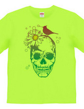 Skull＆Bird