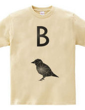 B for bird