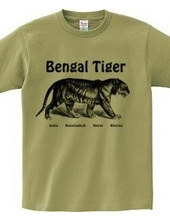 BENGAL TIGER