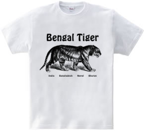 BENGAL TIGER