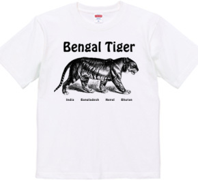 BENGAL TIGER