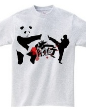 Panda VS Karate master