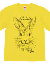 rabbit 01