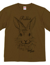 rabbit 01