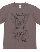 rabbit 01