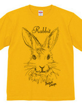 rabbit 01