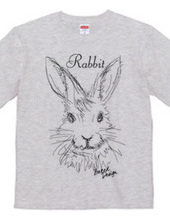 rabbit 01