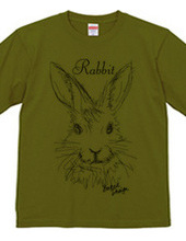 rabbit 01