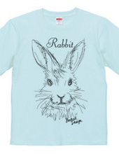 rabbit 01