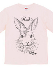 rabbit 01