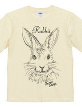 rabbit 01