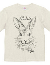 rabbit 01