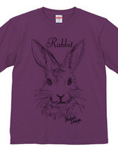 rabbit 01