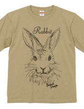 rabbit 01