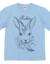 rabbit 01