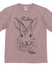 rabbit 01