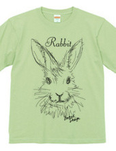 rabbit 01