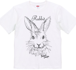 rabbit 01