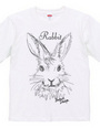 rabbit 01