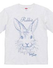 rabbit 02