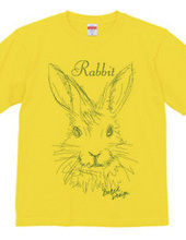 rabbit 02